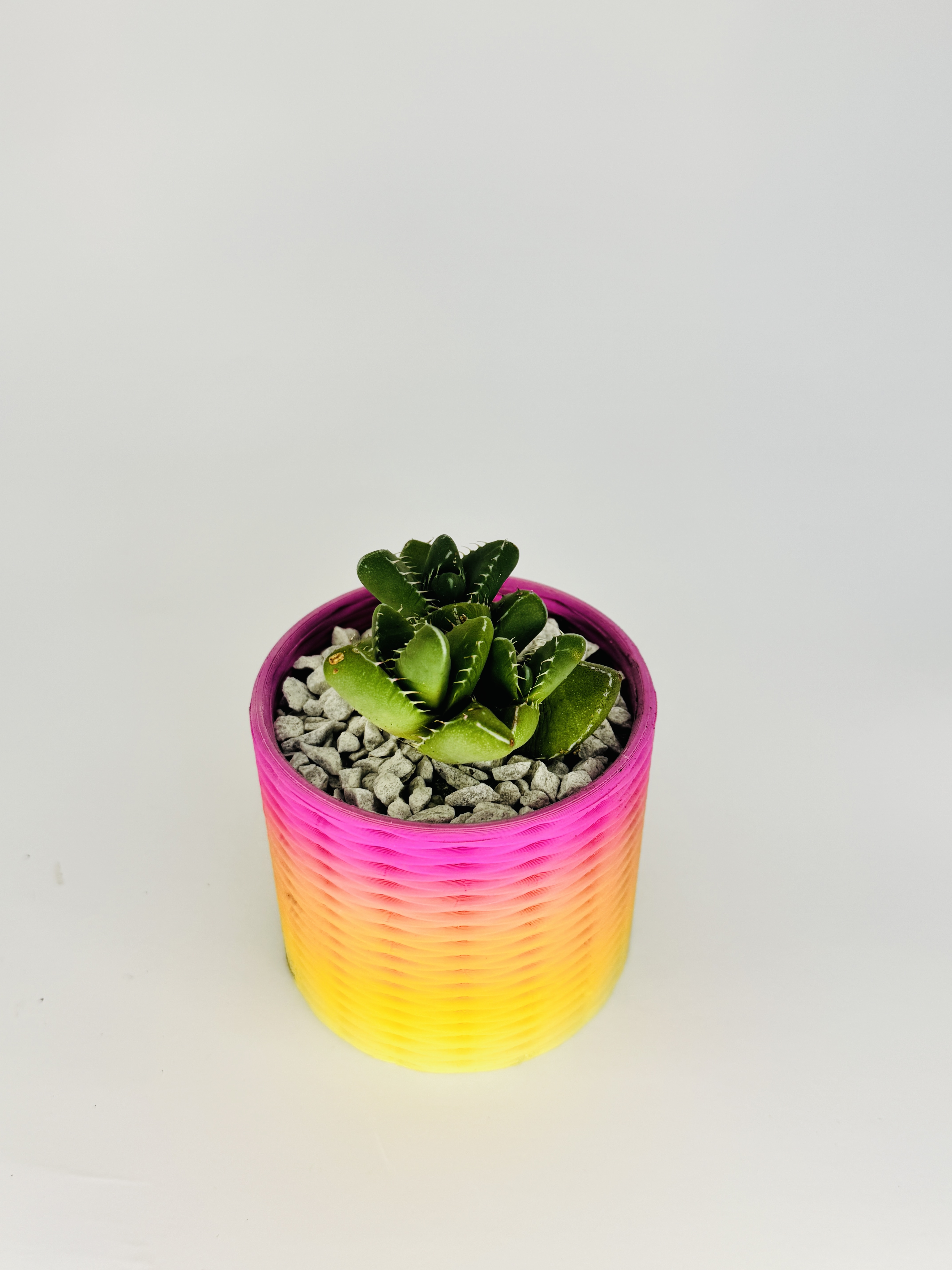 🪴 Double Spiral Pot – 3D Printable Planter