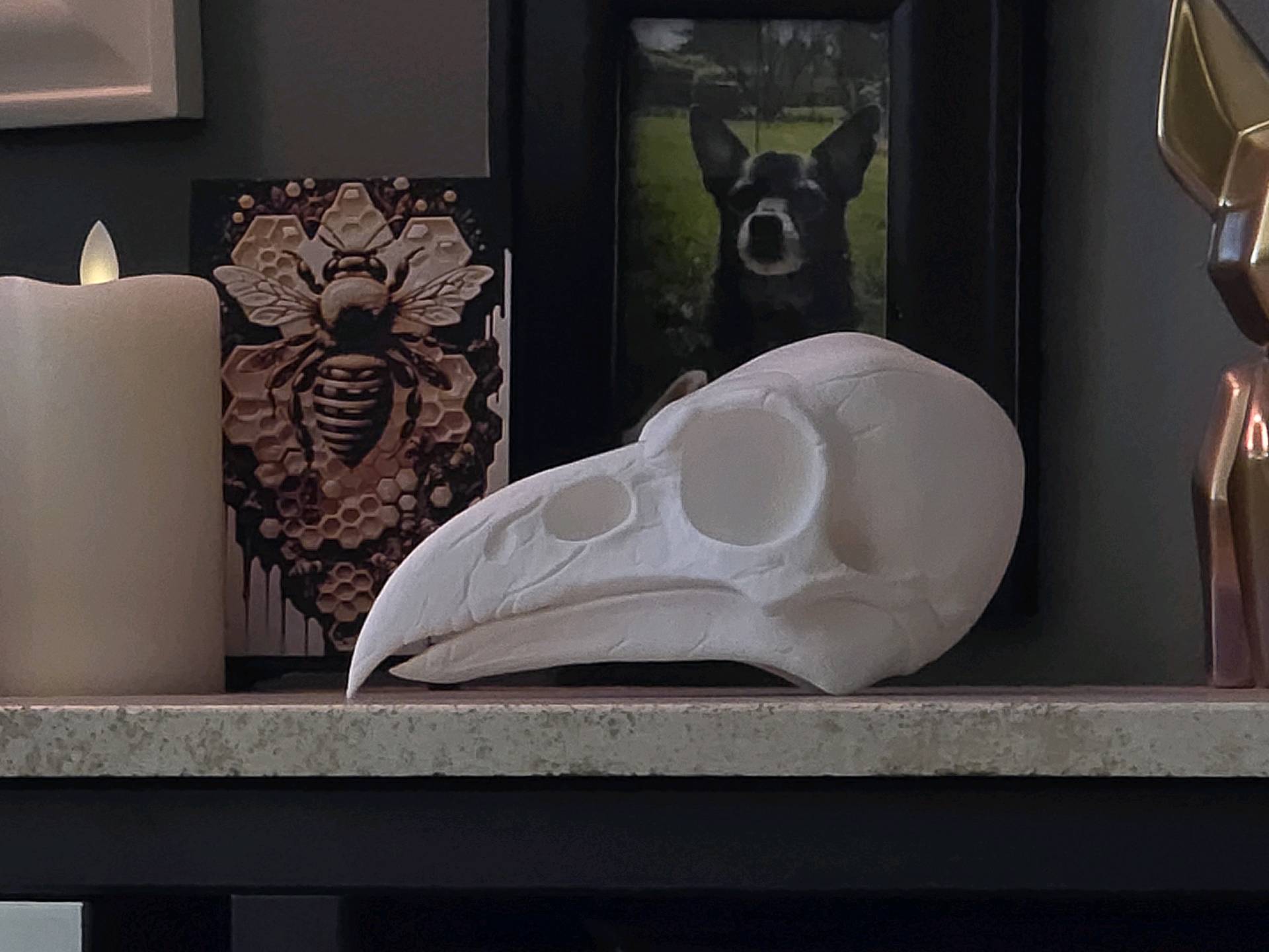 Raven Skull