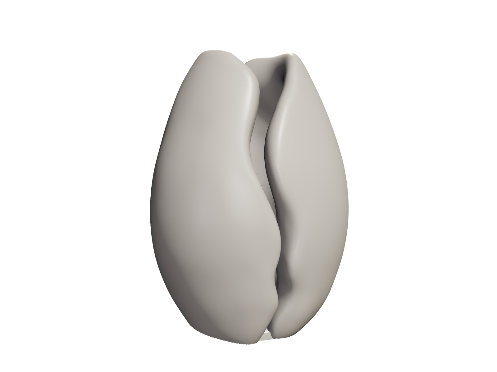 Coffee Bean Vase