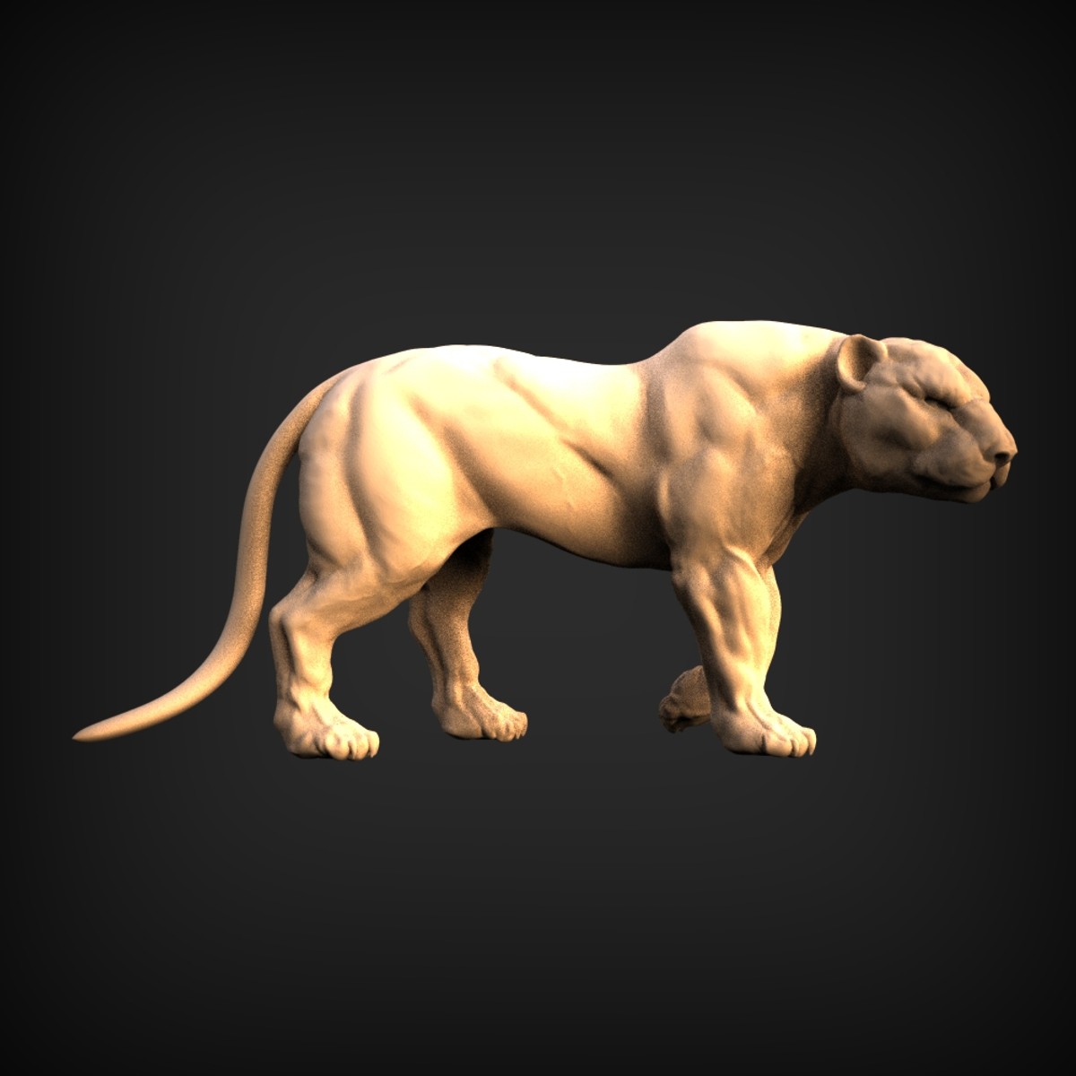 3 D 063