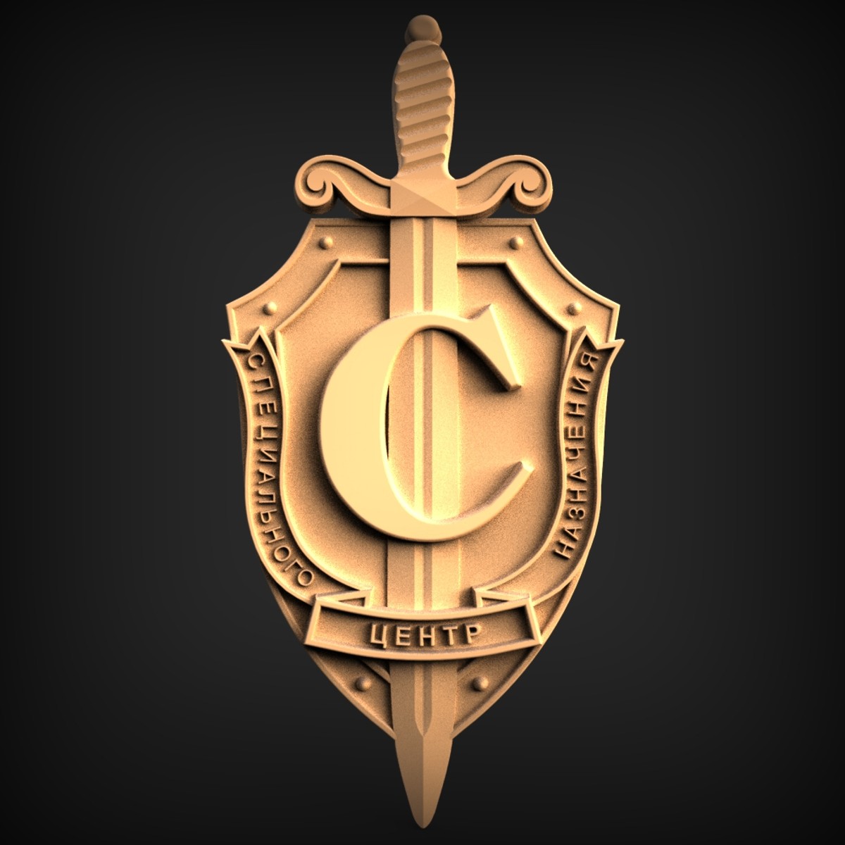 Sword And Shield Special Forces Emblem