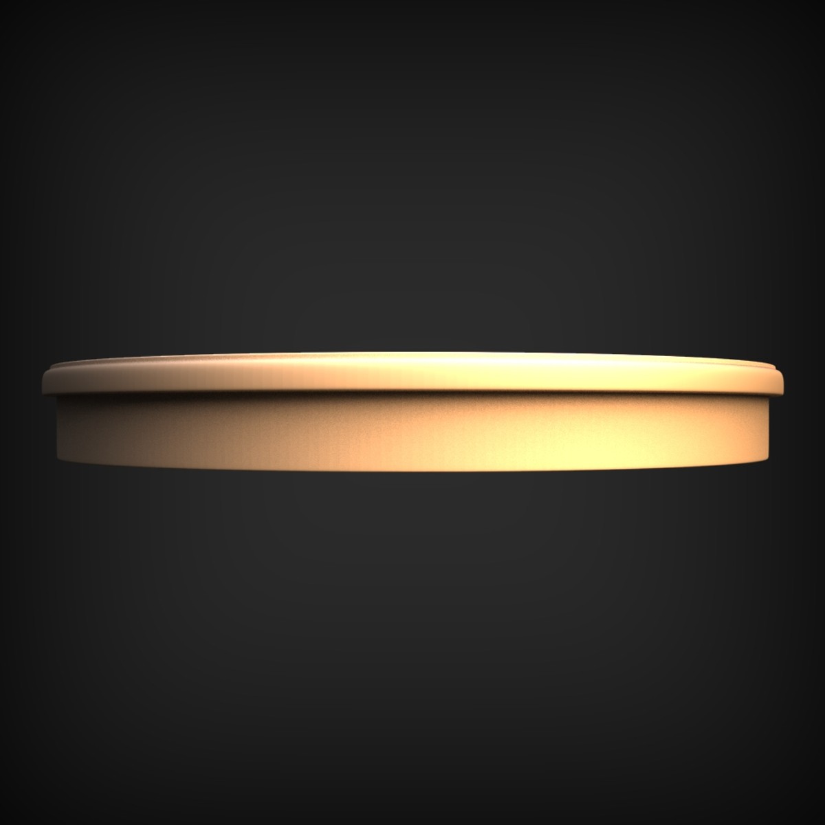Plain Round Disc Blank