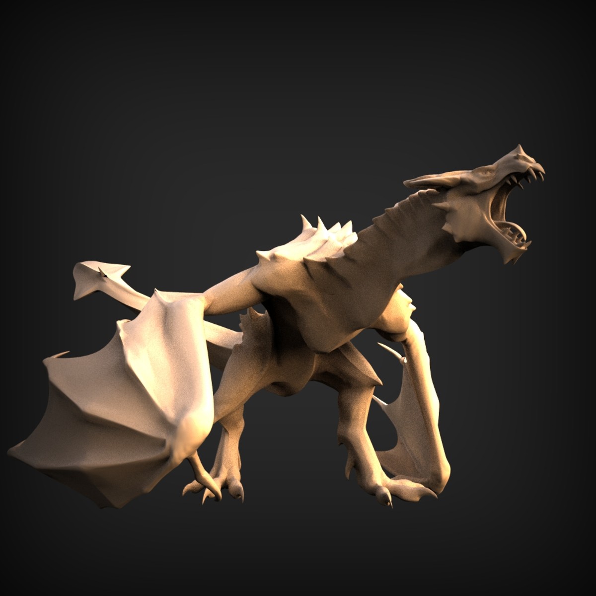 DG 008