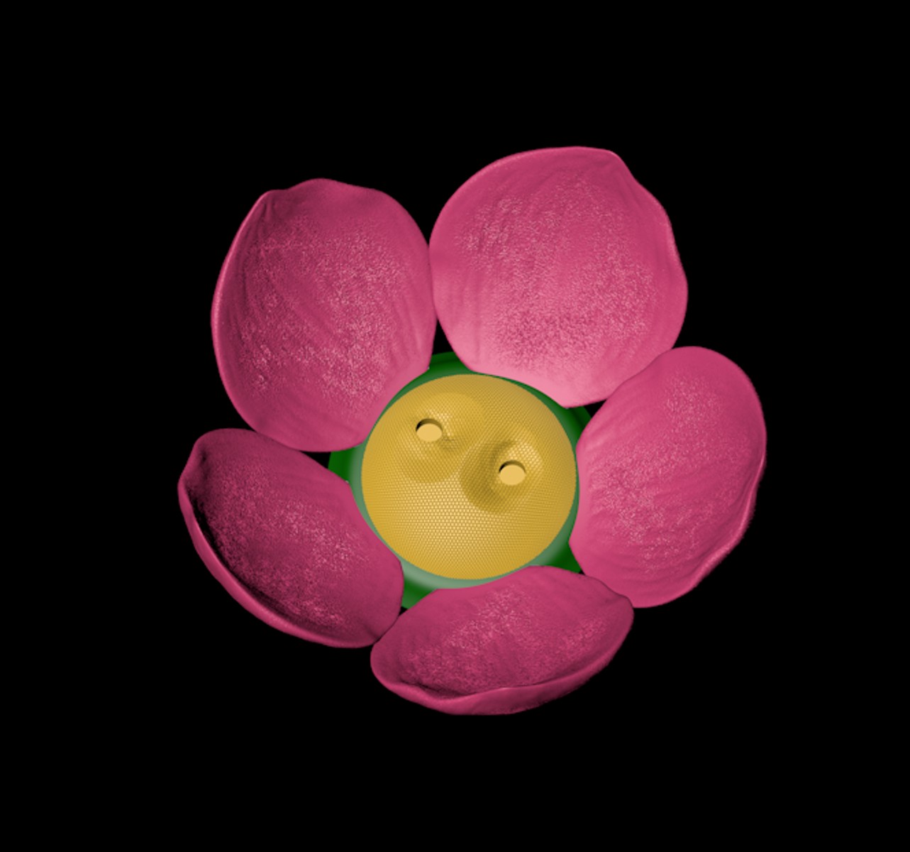Base Flower