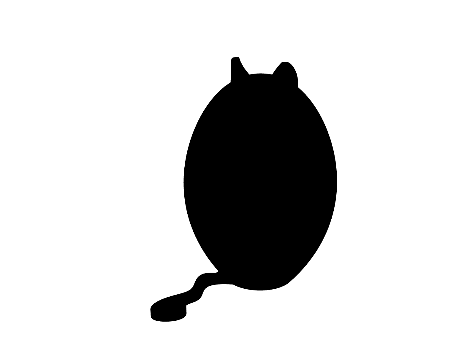 Grompy Cat