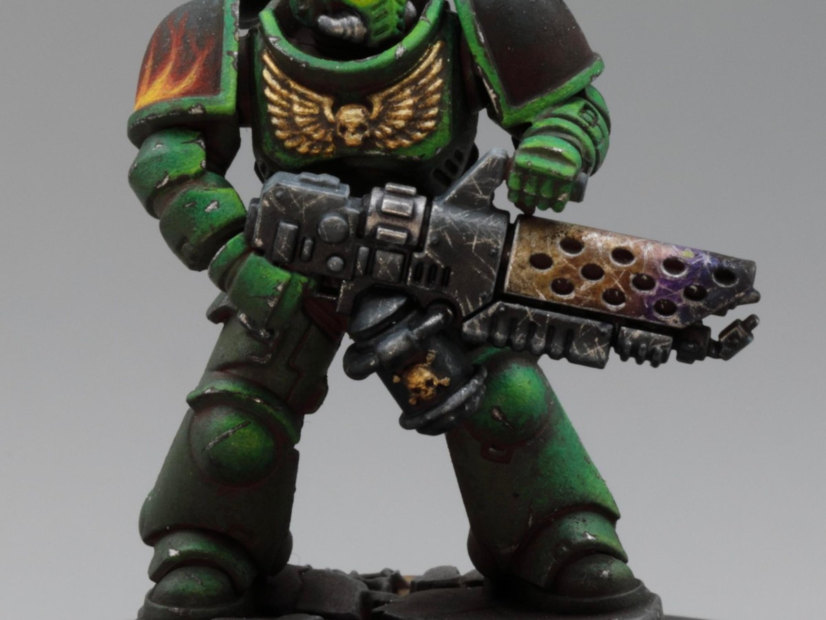 Salamanders Accessories