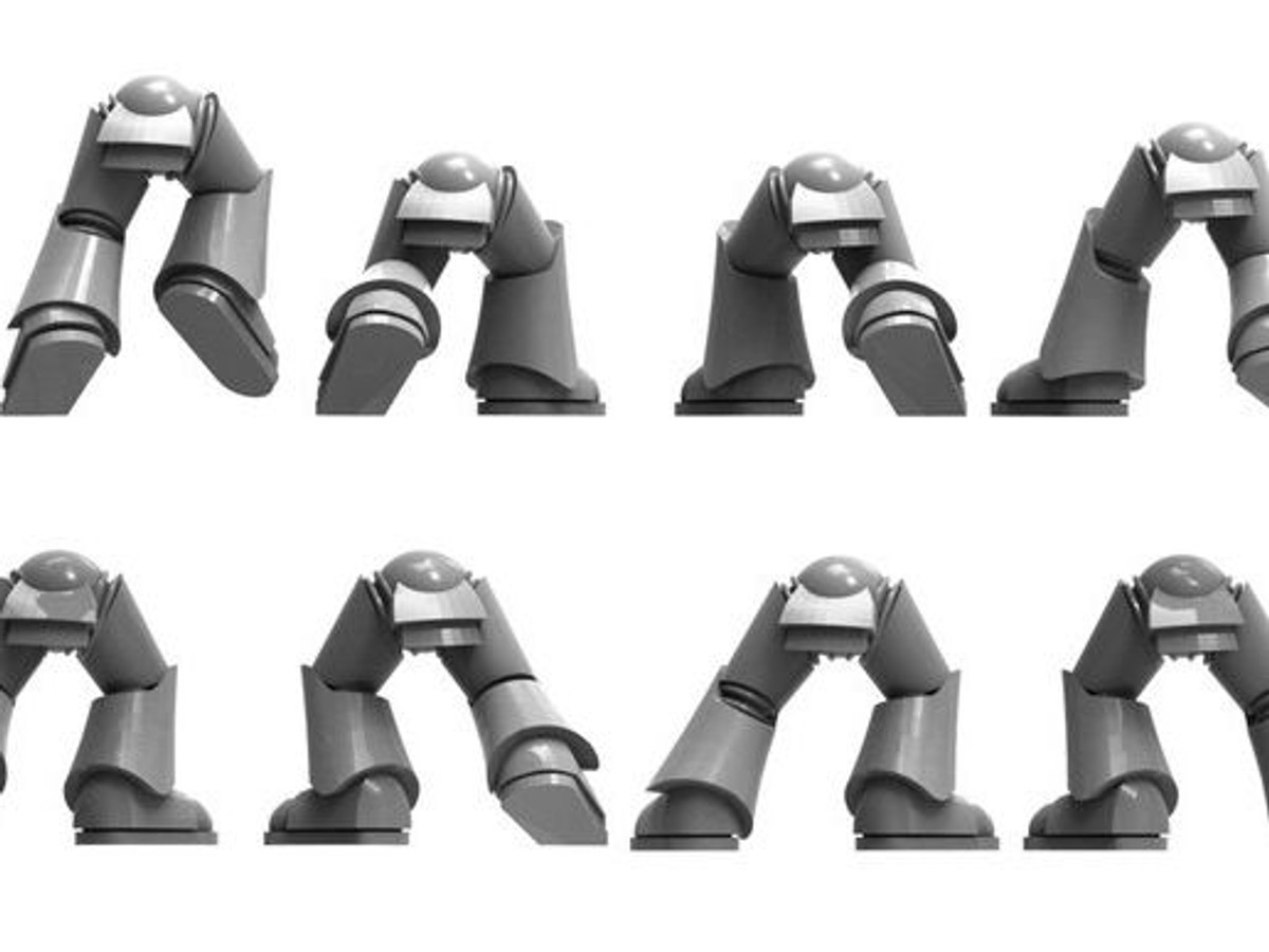 Arm Bits Arms