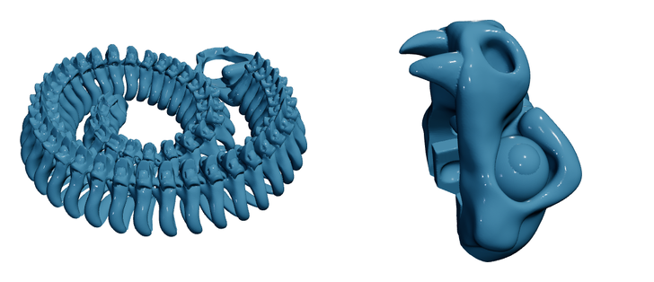 Skeleton Snake — Articulated Flexi