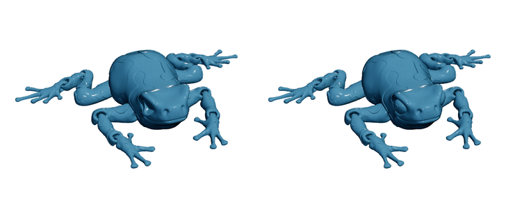 Poison Dart Frog — Articulated Flexi